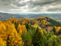 Muszyna, Malnik